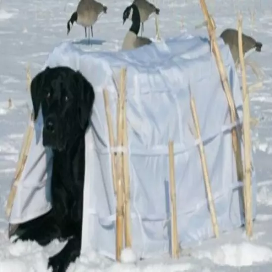 Banded Dog Blind Snow Cover 600D Fabric Waterfowl Winter Hunting Shooting Duck