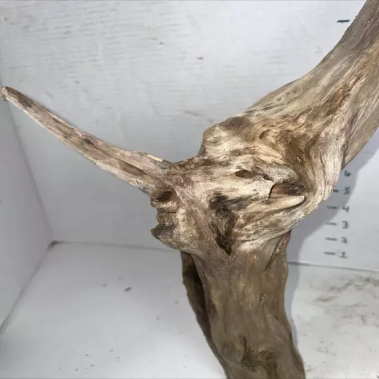 Driftwood Taxidermy Beach Lake Mountain House Wedding Reception