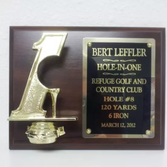 Hole in One Golf Plaque Custom Engraved SUPER FAST SHIP