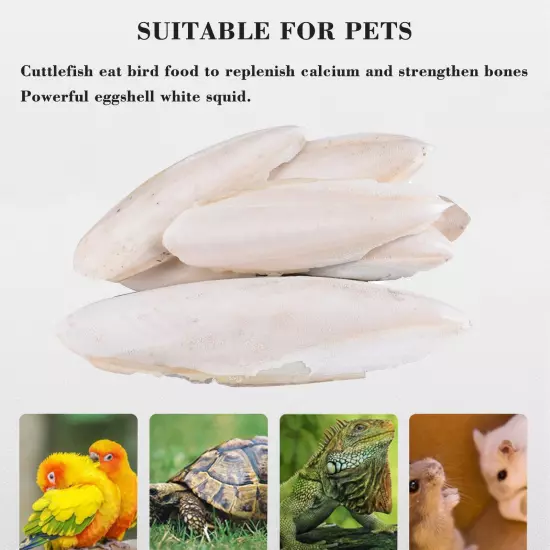 1 Bag Cuttlebone Cuttlefish Bone Sepia Cuttle Fish Pickstone Bird us Food 2024