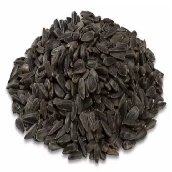 Royal Wing 10623 Pet Supplies 40 Pounds Black Oil Sunflower Wild Bird Food