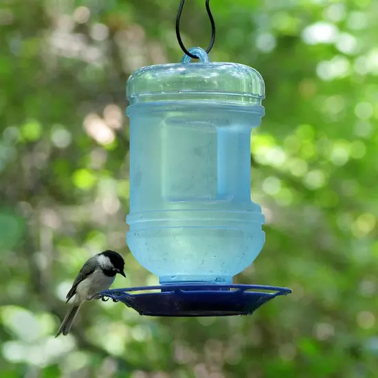 780 Outdoor Hanging Water Cooler Bird Waterer and Dispenser,Blue, 1.5 Qt Capacit