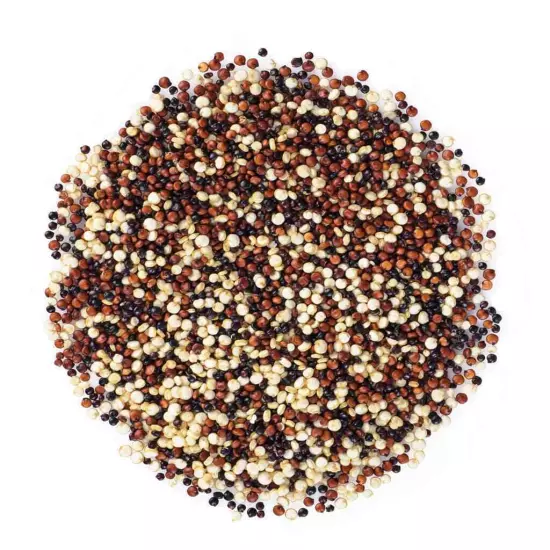 Organic Tri-Color Quinoa — Non-GMO, Raw, Whole, Kosher, Sirtfood, Sproutable