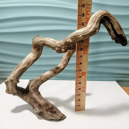 Natural Driftwood Root, Taxidermy, Aquarium, Terrarium, Art/Crafts, Decor