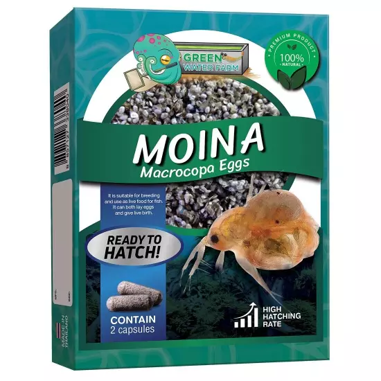 Moina Macrocopa Eggs (Water Flea) Live Fish Food for Hatching and Culture