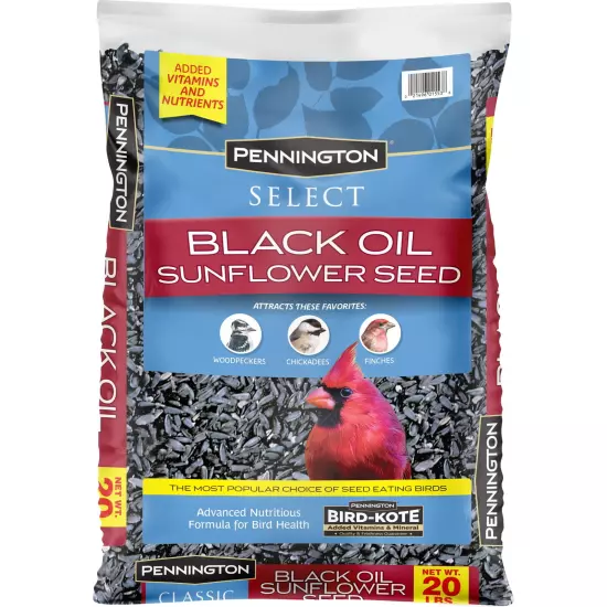 Dry Wild Bird Feed, Black Oil Sunflower Seed, 20 lb Bag, Free Shipping