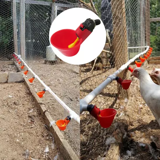 4Pcs Auto Drinker Feeder Nipple Chicken Bird Hen Poultry Water Drinking Cups +