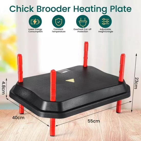 Chicken Brooder Heater Plate 22'' X 16' 60W for 50 Chicks Adjustable Temperature