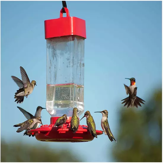 Hummingbird Electronectar Wild Bird Food, Ready to Use, 64 Ounces