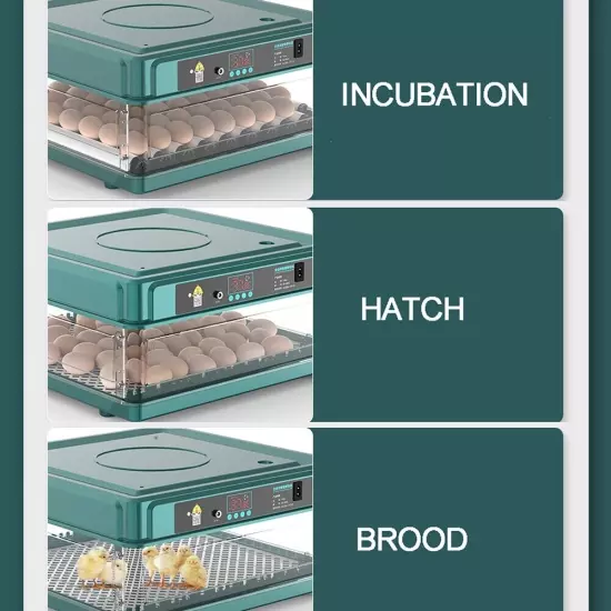 ✅ Egg Incubator for Hatching Egg Full Automatic Turning Duck Chicken Quail Egg