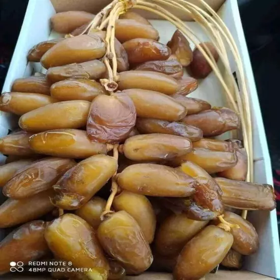 Soft Deglet Noor dates 1 KG (2.2LBs) From Algeria NEW harvest stock