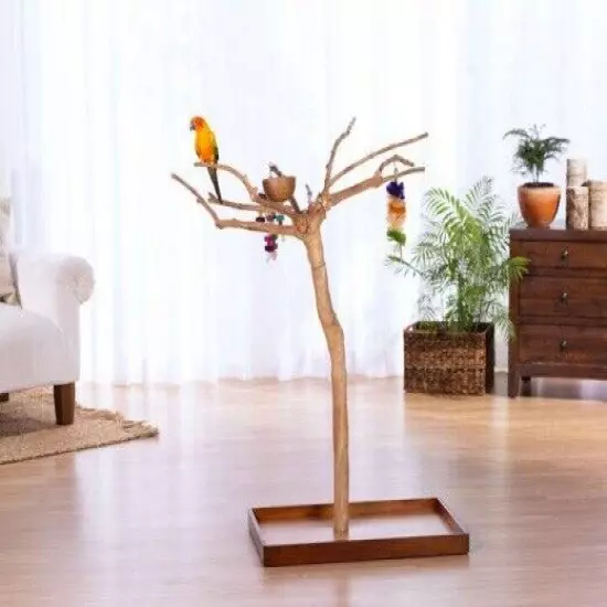 4' Coffeewood Parrot Tree Stand bird perch PLAY STAND GYM