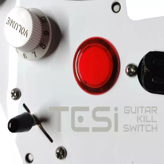 Tesi Switch DITO 24mm Arcade Button Guitar Kill Switch - 25 Colors Available!