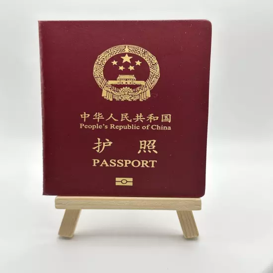 Countries Passport Simulation Movie Props Mini Notebook Novelty Dairy Planner