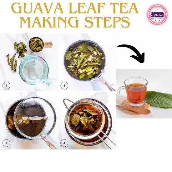 1000+Dried Guava Leaves Herbal Tea Hojas de Guayaba Psidium Guajava For Diabcare