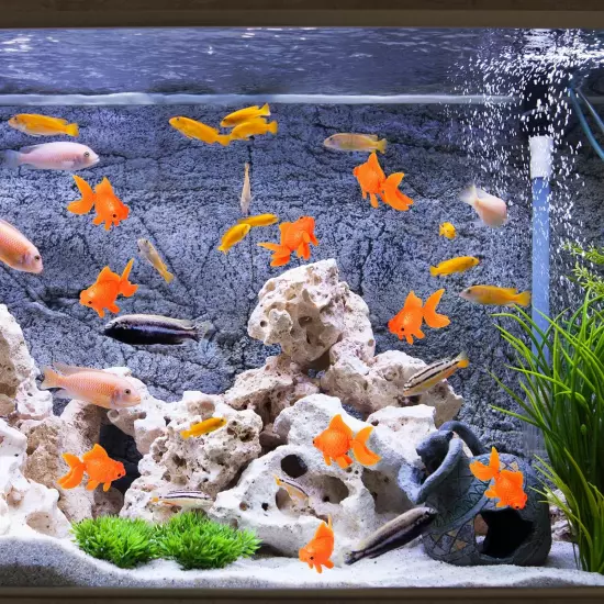 Title: 12-Pack Floating Goldfish Decorations for Aquarium, Tank, & Terrarium