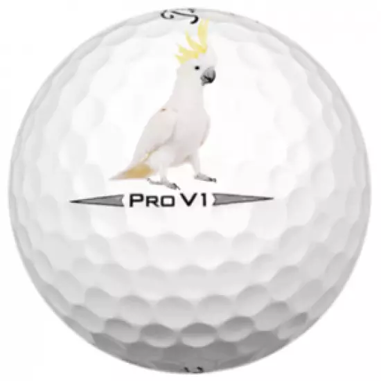 Titleist Pro V1 2020 White 48 5A Pro V1 AAAAA 2020 Used Washed Only Titleist V1