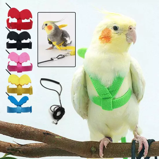 Bird Harness Leash Set Parrot Flying Rope Straps Outdoor Training for Cockatiel