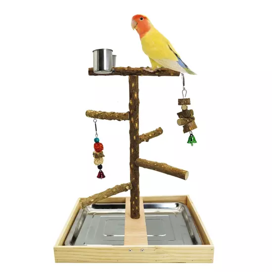 Bird Perch Natural Wood Stand Parakeet Playground Toy Parrot Play Stand Platf...