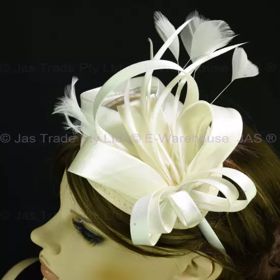 Spring Racing Race Party Melbourne Cup Feather Headband Hairband Clip Fascinator