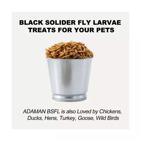 Adaman Dried Black Soldier Fly Larvae 10 LBS-100% Natural Non-GMO BSF Larvae-...