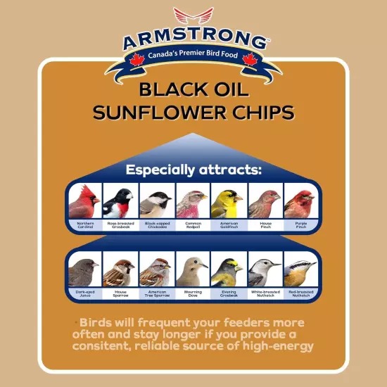 Armstrong Wild Bird Food Black Oil Sunflower Chips, 20 Pounds - for Northern Car