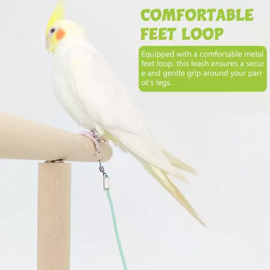 Parrot Leg Ring, 6.6ft Parrot Ring for Leg, Elastic Parrot Toy Bird Aviator