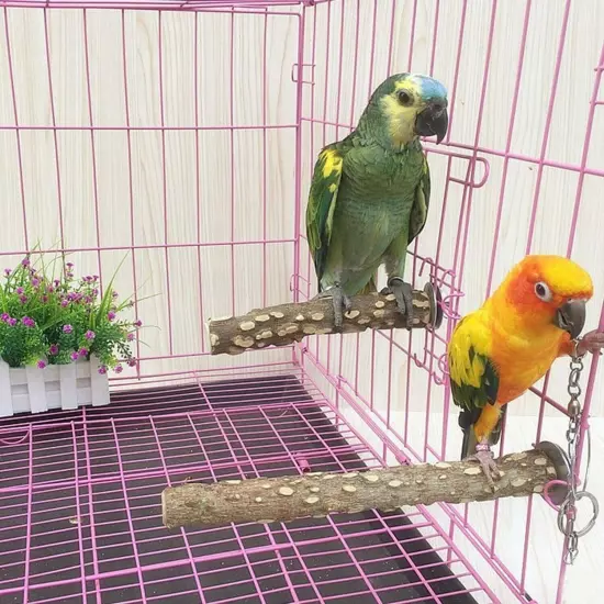 PINVNBY 3Pcs Bird Perches for Cage, Nature Wood Prickly Parrot Stand Toy Paw ...