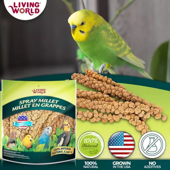 Birds Spray Millet, 5-Pound