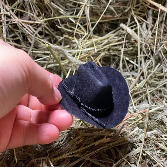 24 MINI COWBOY FELT HAT 2" Brown WESTERN WEDDING FAVORS RECUERDOS BIRTHDAY PART