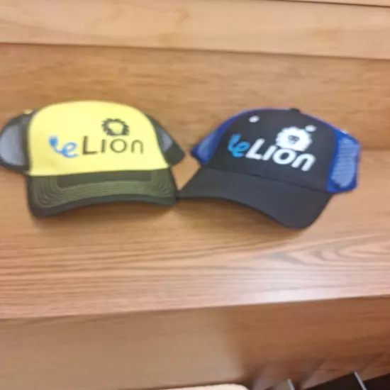 Lion Electric CO. Caps Trucker Hats Mesh Back Snap Back NEW RARE ATTN SCHOOL BUS