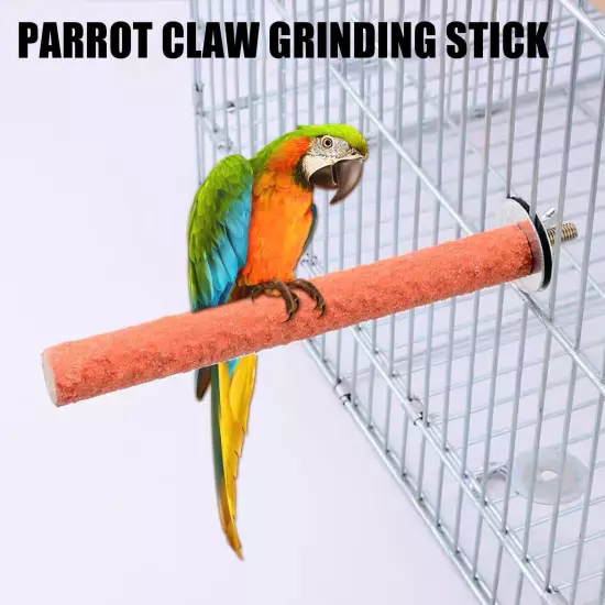 Parrot Paw Grinding Perch Stand Pet Bird Quartz Branch Budgie Shelf Chewing NICE