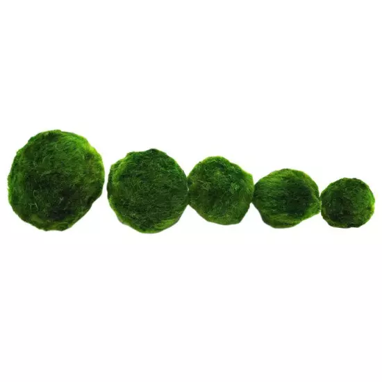 Aquarium Landscaping Decoration Green Algae Balls'