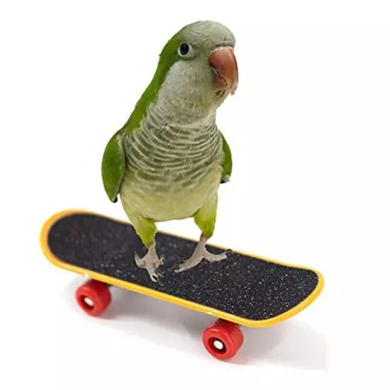 2pcs Bird Training Skateboard Parrot Toy for Parakeets