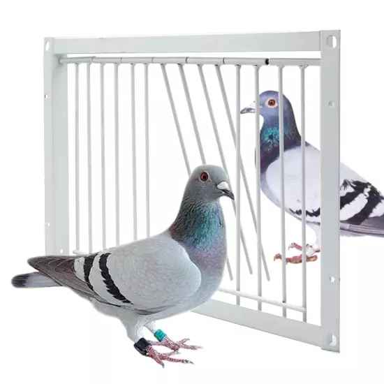 Junniu 11.8in/30cm Pigeon Cage Door Way Entrance Door Bird T Trap Birdcage Ir