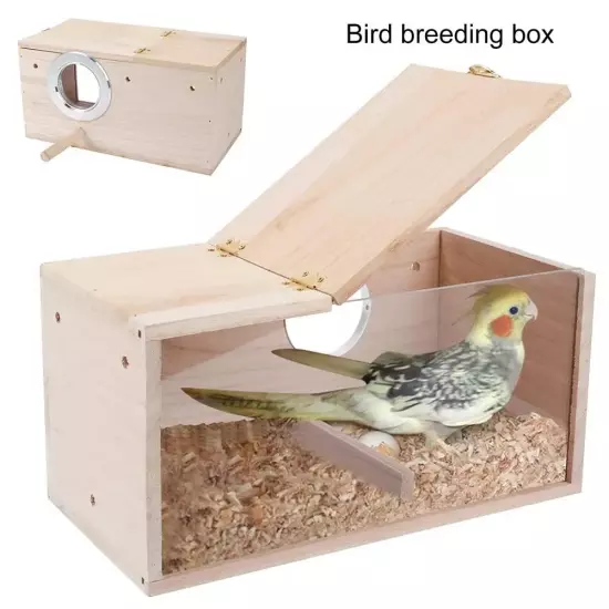 Transparent Bird Breeding Box Parrot Parakeet & Cockatiel Nesting House Supplies