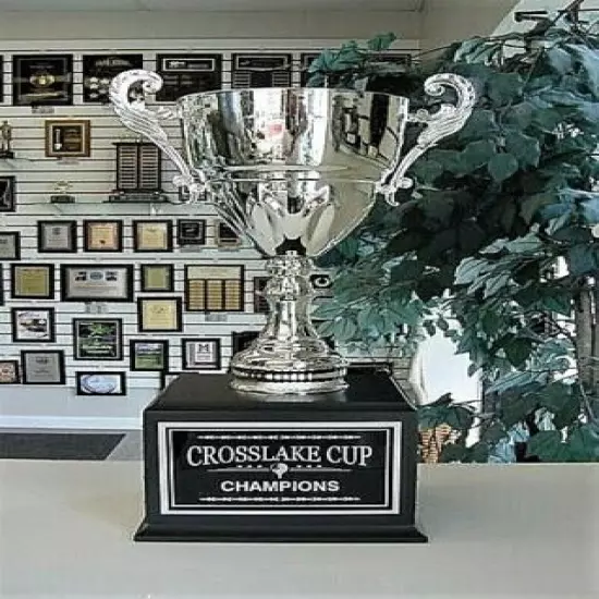 GOLF 16 YEAR PERPETUAL AWARD SILVER METAL CUP AWARD TROPHY ELEGANT J**MCJ3S