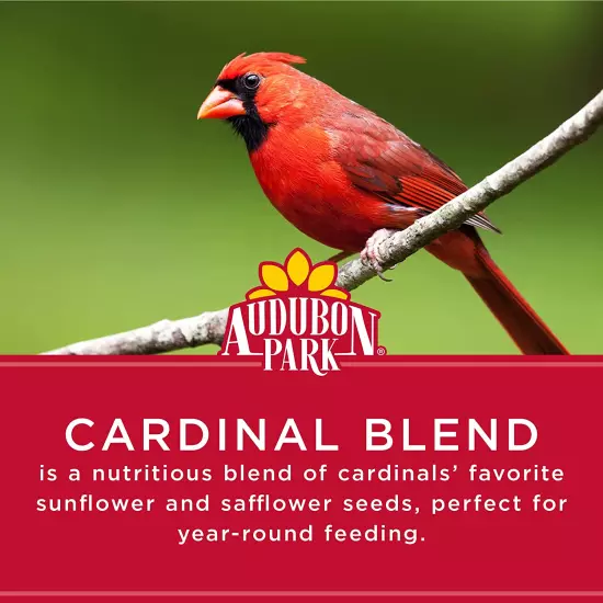 Cardinal Blend Wild Bird Food, Cardinal Bird Seed for outside Feeders, 4-Pound B