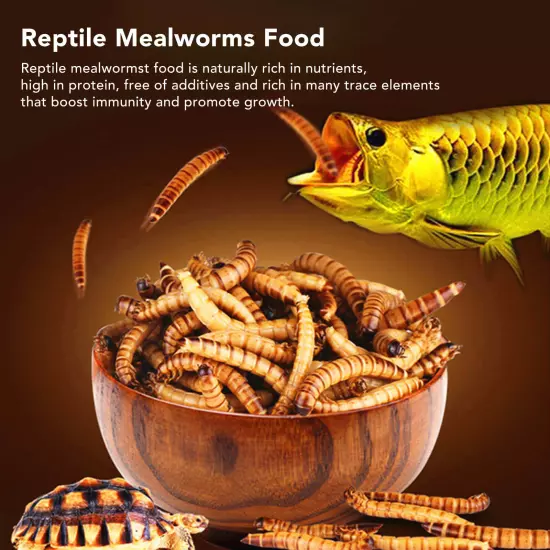 Reptile Mealworms Food Natural Fish Mealworms Fodder For Reptiles Tort AD5