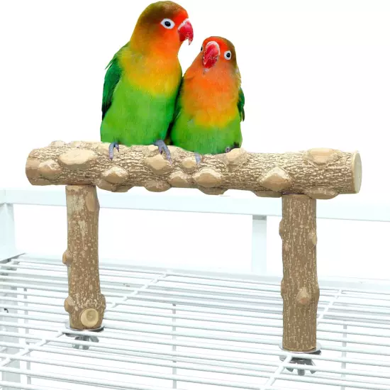 Bird Perch Stand, Bird Cage Top Perch Gym,Natural Wood Parrot Branch for Small M