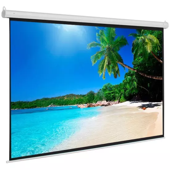 Matte White 100" Diagonal HD 4:3 Projector Screen Pull Down Steel&PVC&Fabric