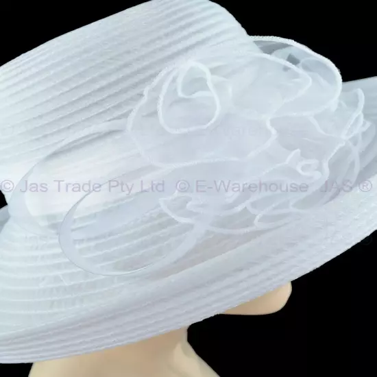 Melbourne Cup Spring Race Carnival Derby Day Evening Wedding Church Event Hat