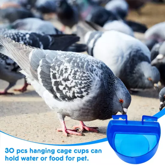 30 Pcs Blue Cage Feeders Birds Cage Cups Plastic Hanging Feeding Cups Seed Bowl