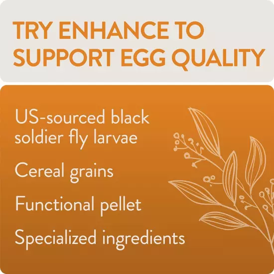 Enhance, Functional Poultry Treats for Egg Production & Quality, 1.5 Lb