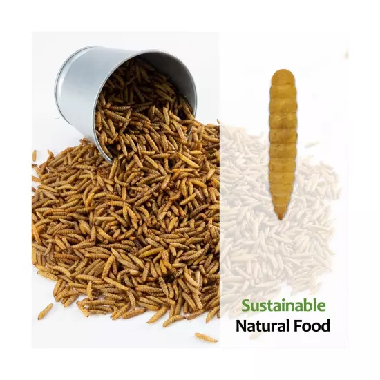 Adaman Dried Black Soldier Fly Larvae 10 LBS-100% Natural Non-GMO BSF Larvae-...