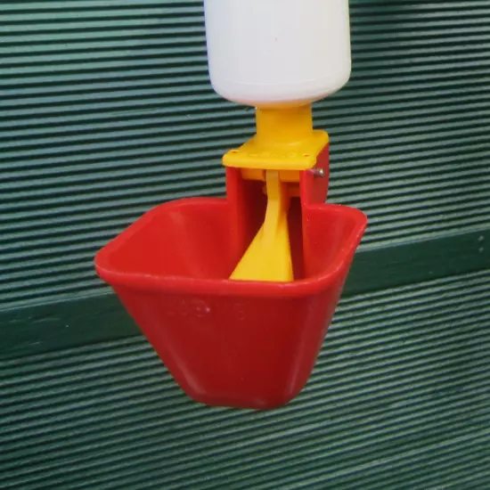 Dine a Chook Lubing Chicken Drinker-Cup-Poultry -Waterer-Nipple-Drinker Feeder