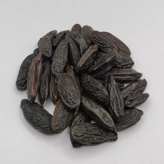 Dried Tonka Beans Whole 25g - 1.95Kg | Dipteryx odorata