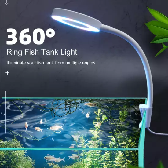 Fish Clamp Aquarium Aquatic Plants Fill Translucent H2S8