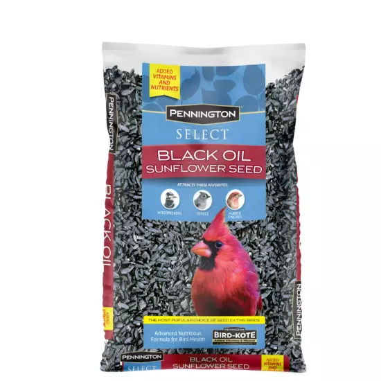 Pennington Select Black Oil Sunflower Seed Dry Wild Bird Feed, 10 lb. Bag, 1 Pac