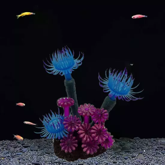 Aquariums Sinking Decoration Shrimp Fish Aquatic Plant Freshwater Coral Ornamen∏